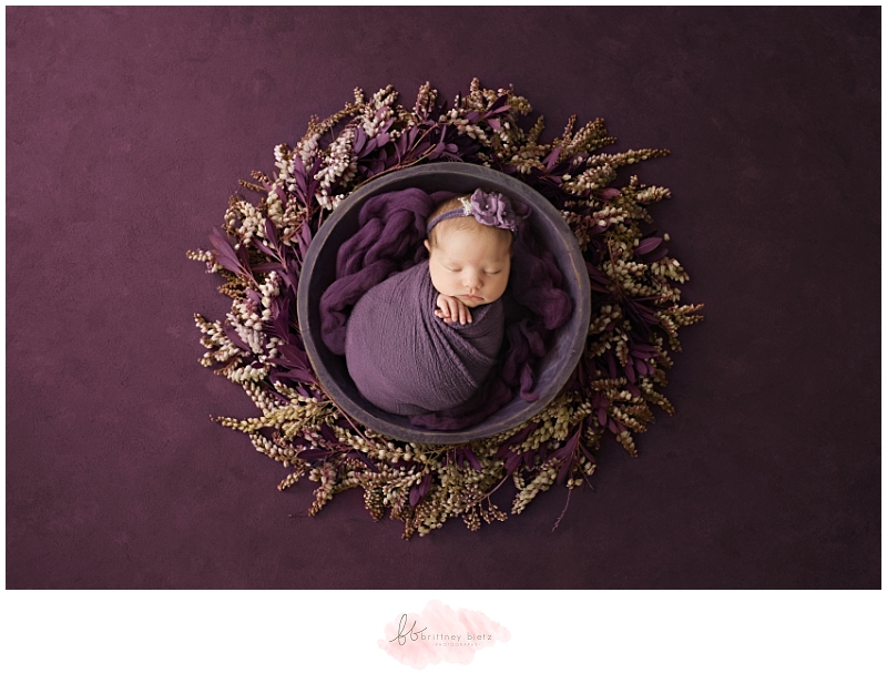 Calgary Newborn Photographer baby girl in purple wreath